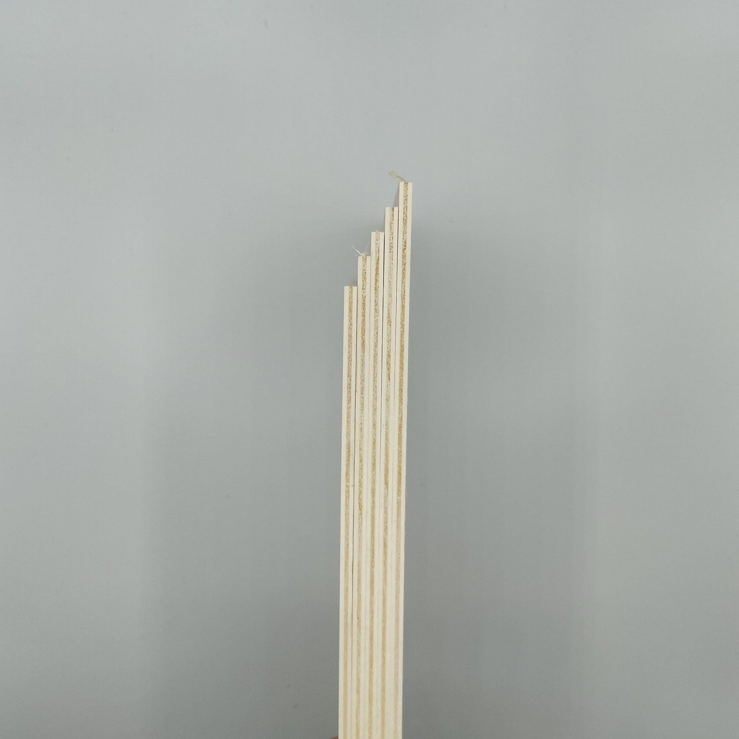 Pappelsperrholz-3